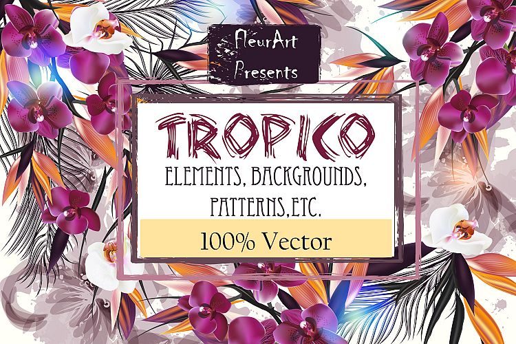 Tropical vector set. Illustrations, elements and patterns