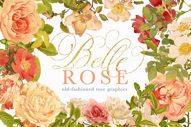 Belle Rose Antique Graphics Bundle