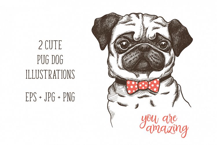 hand drawn funny fashionable pug