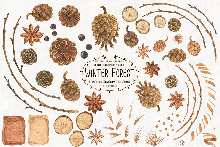 Winter Forest