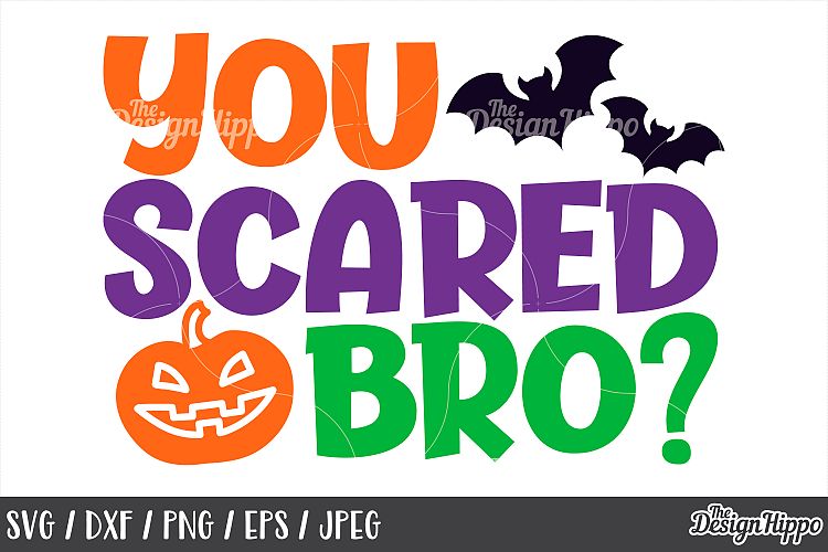 You scared bro SVG, Halloween, Kids, Boys, Pumpkin, Bats SVG