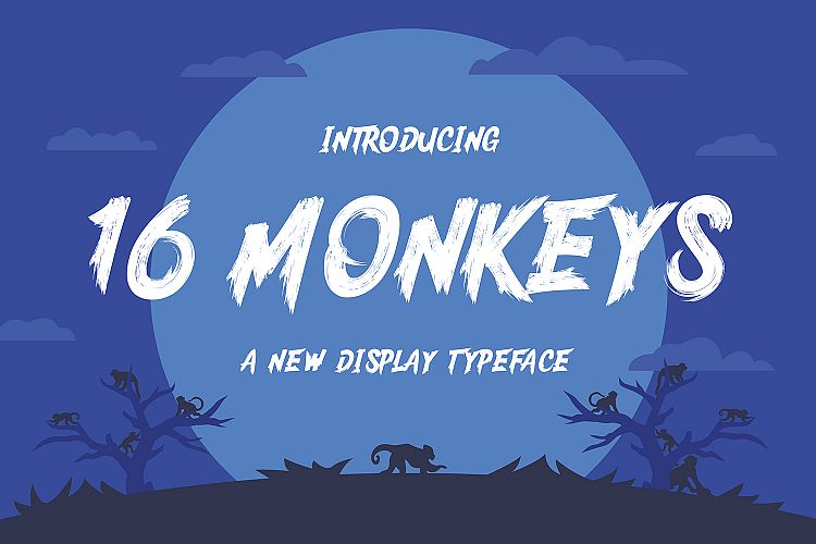 16 Monkeys