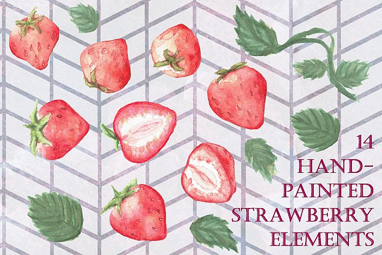 14 Handpainted Strawberry Elements