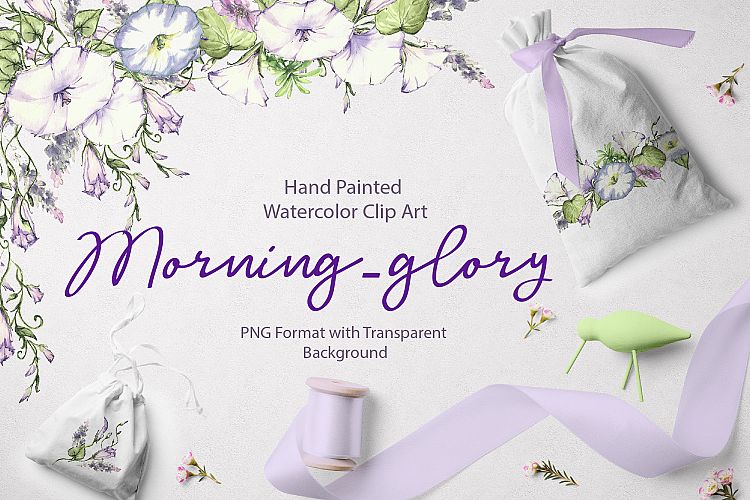 Watercolor flower Clip Art â€“ Morning-Glory