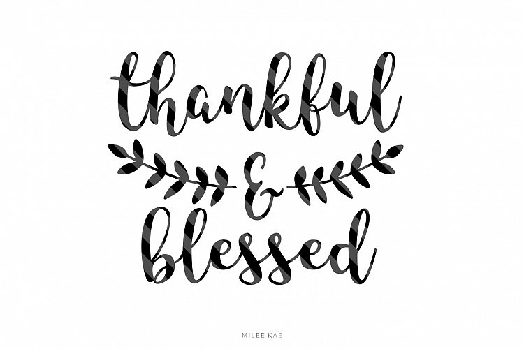 Transparent Thankful Quotes Png