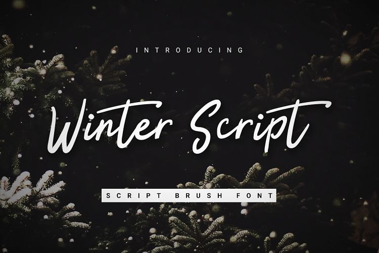 Winter Script