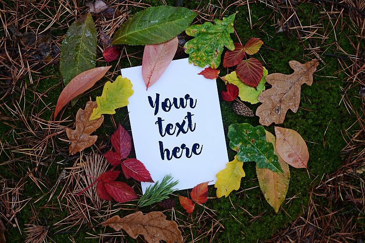 Autumn Mockups (Horizontal+Vertical)
