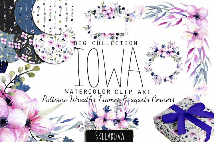 Iowa. Tender floral collection.