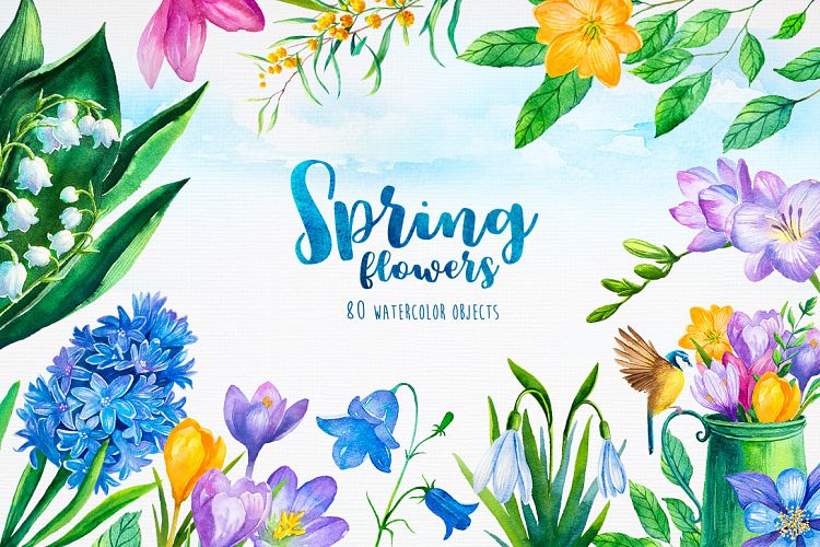 Spring flowers. Watercolor.
