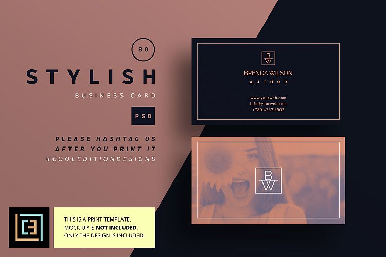 Stylish Business Card - BC080