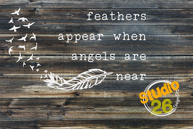 Feathers appear when Angels are near