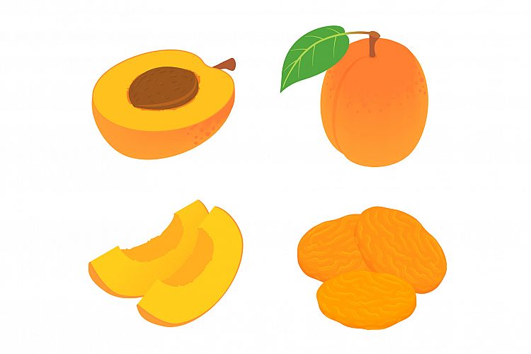 Apricot icons set, isometric style example image 1