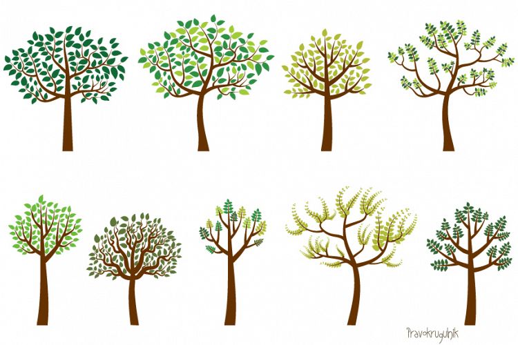 Green leaves trees clipart set, Spring tree clip art
