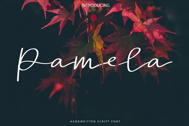 Pamela