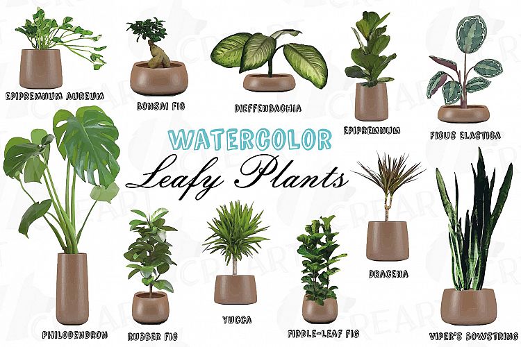 Leafy plants clip art collection, Watercolor plants in pot