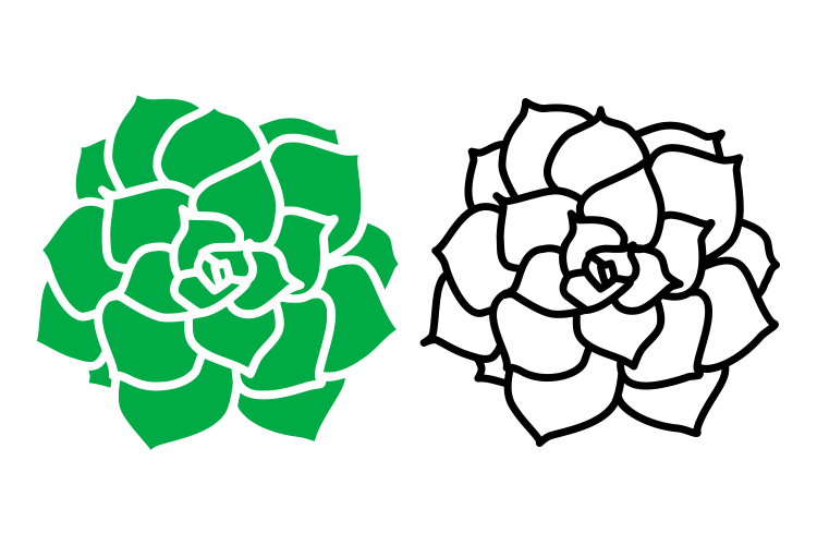 Succulent SVG