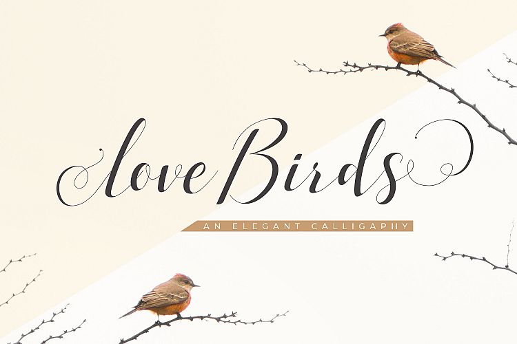 Love Birds
