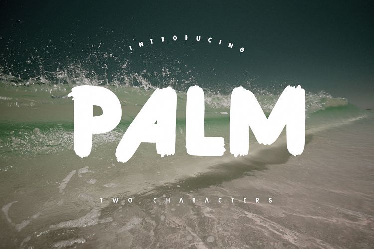 Palm Brush Font
