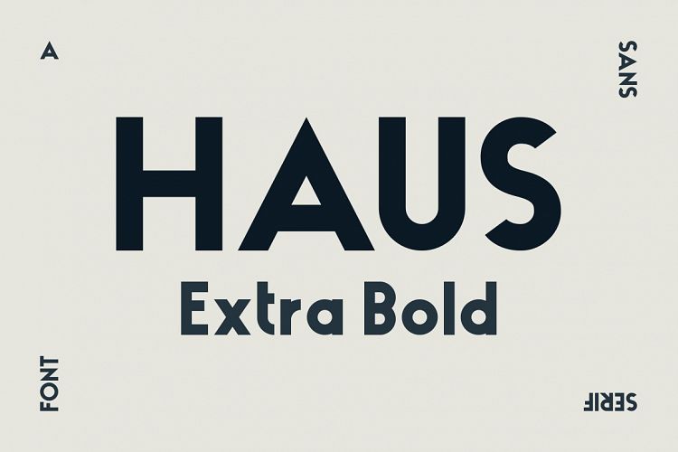 HAUS Sans Extra Bold