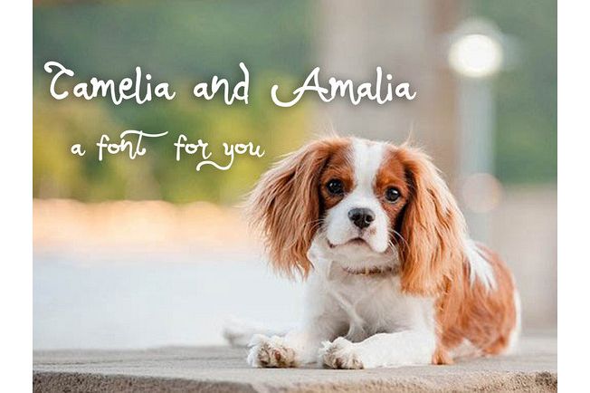 Camalia Girly Typeface
