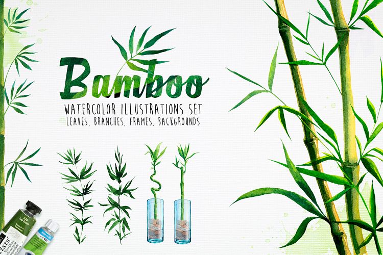 Bamboo. Watercolor illustrations.