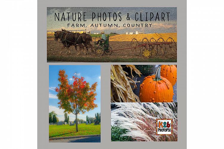 Country, Farm, Autumn/Fall Photos