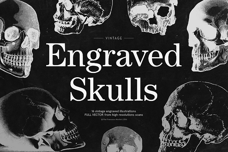 Engraved Skulls Illustrations