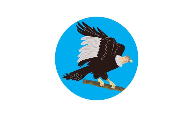 California Condor Perching Branch Circle Retro example image 1