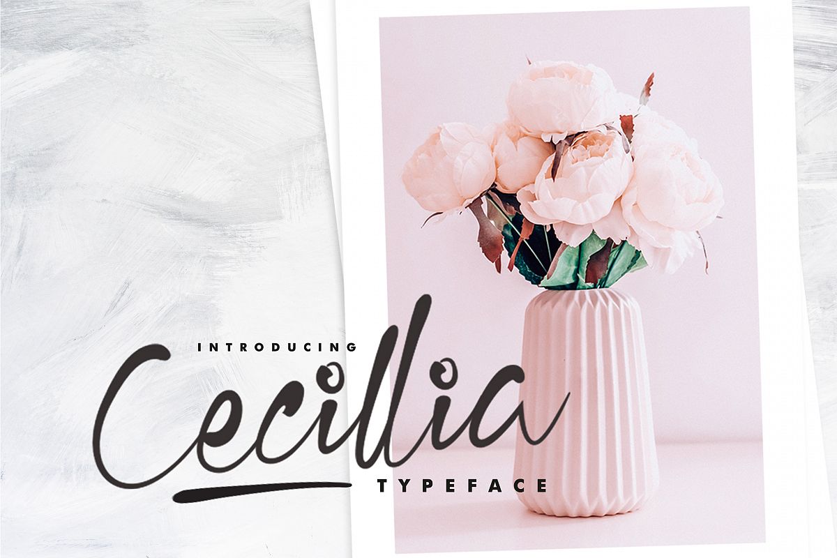 Cecillia - Script example image 1