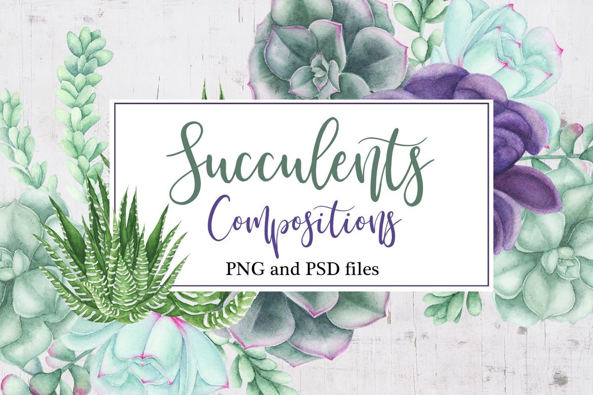 Watercolor Succulents Compositions example image 1