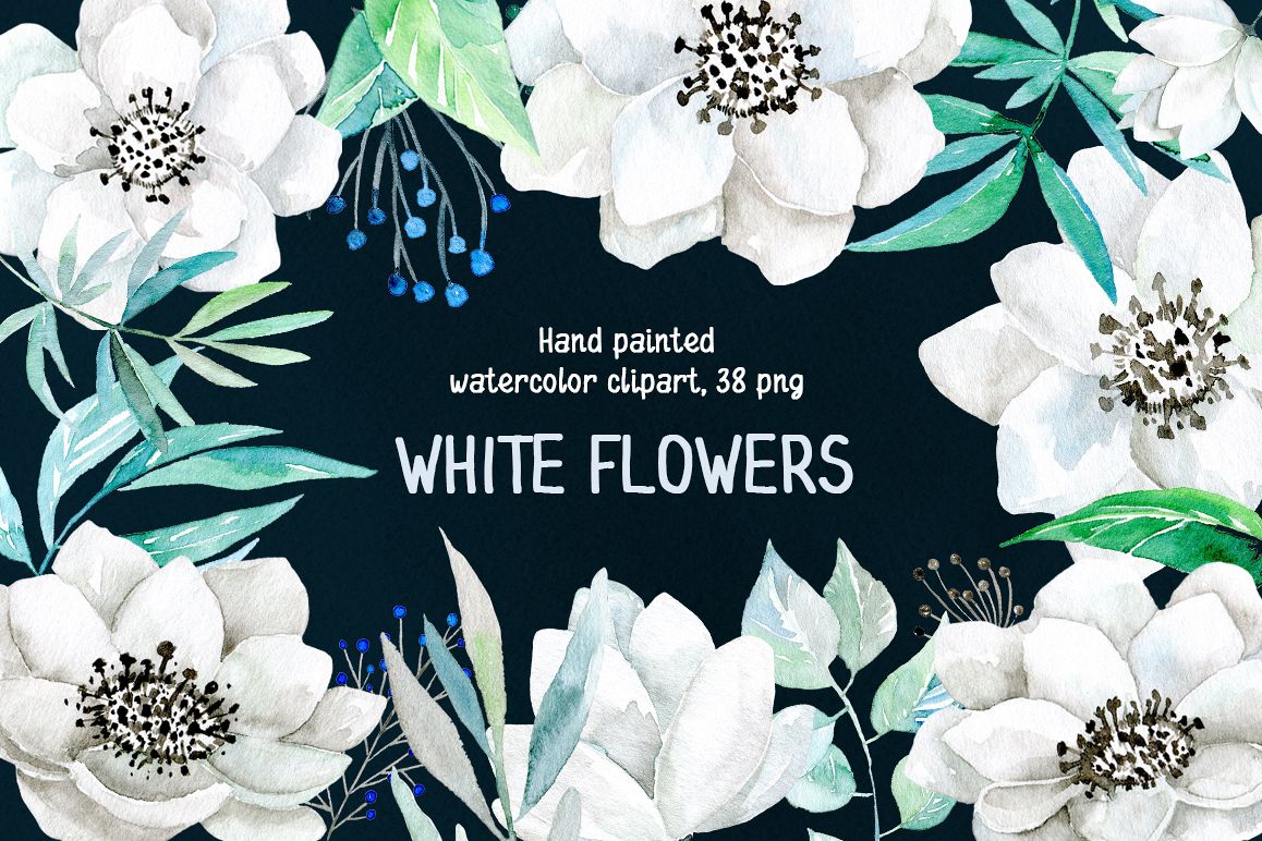 Watercolor white flowers 38 png example image 1