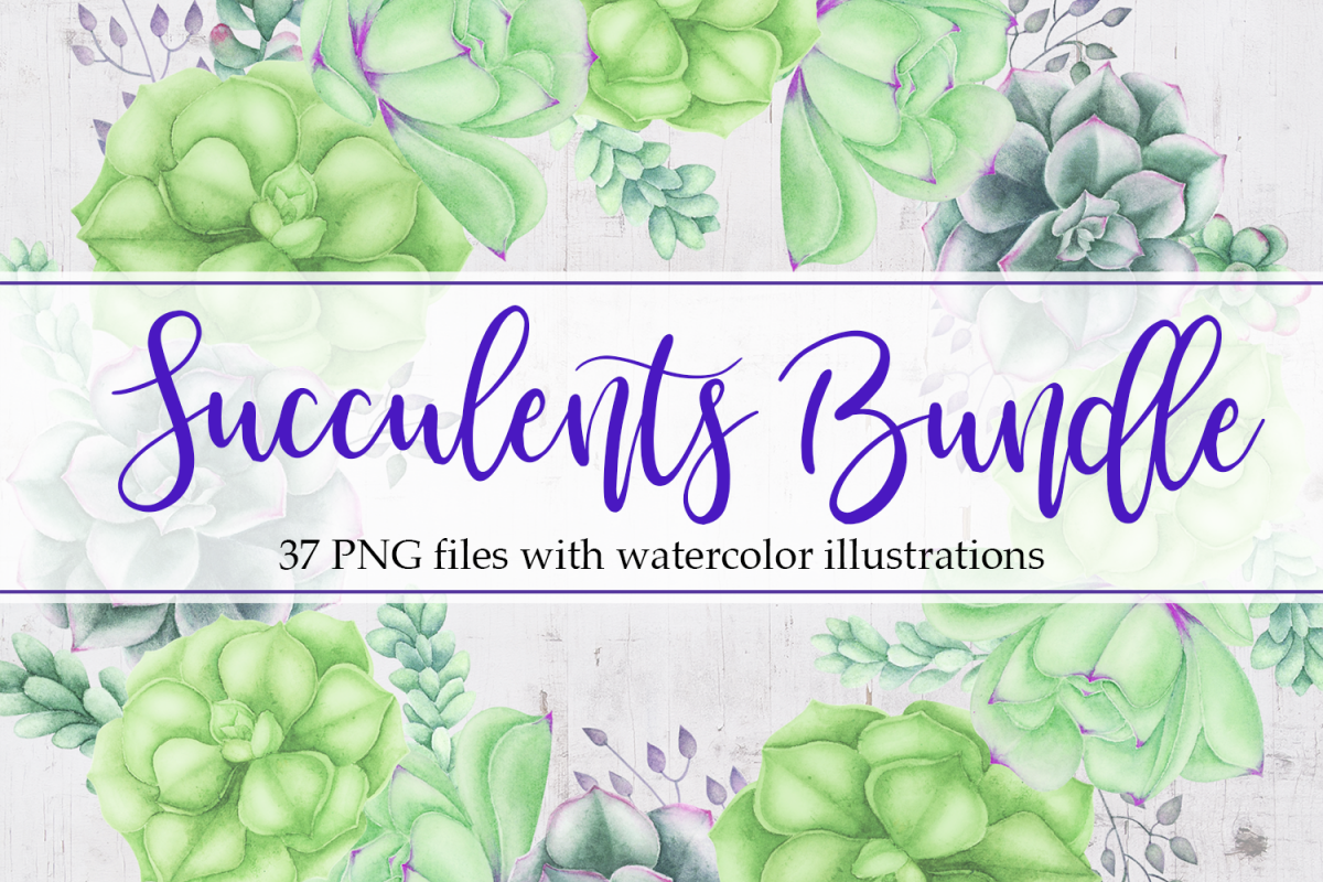 Succulents Bundle example image 1