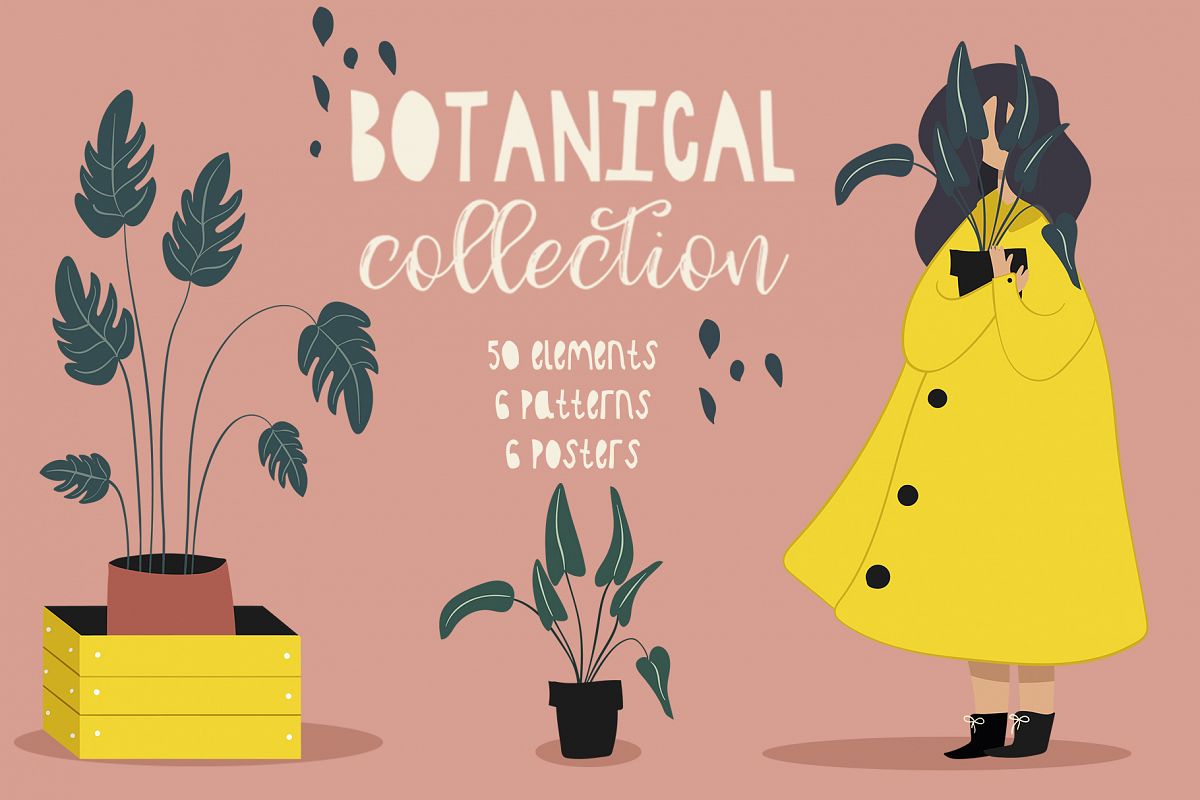 Botanical collection example image 1