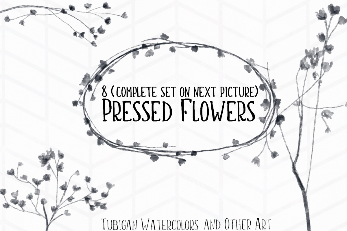 8 Pressed Flowers example image 1