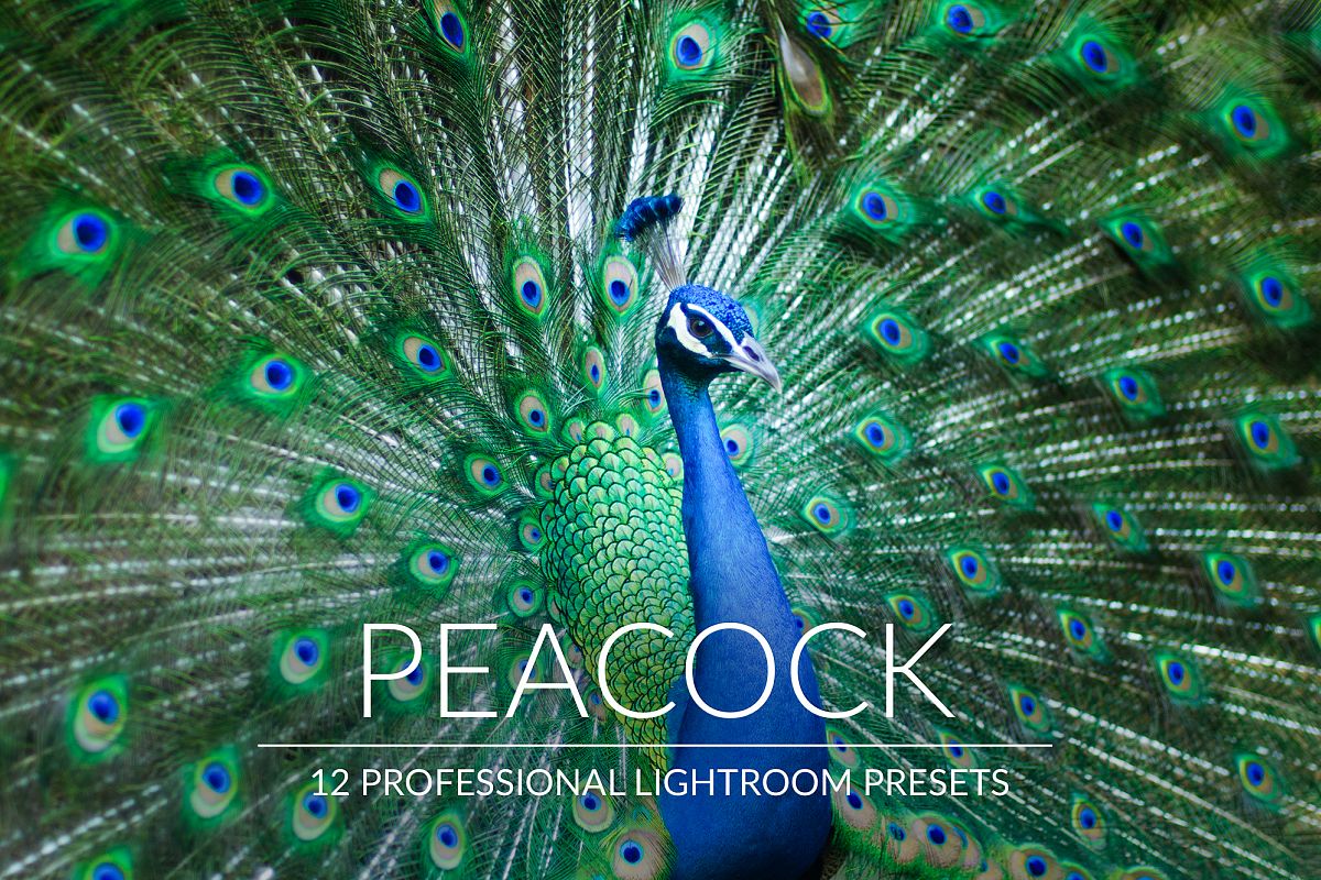 Peacock Lr Presets example image 1
