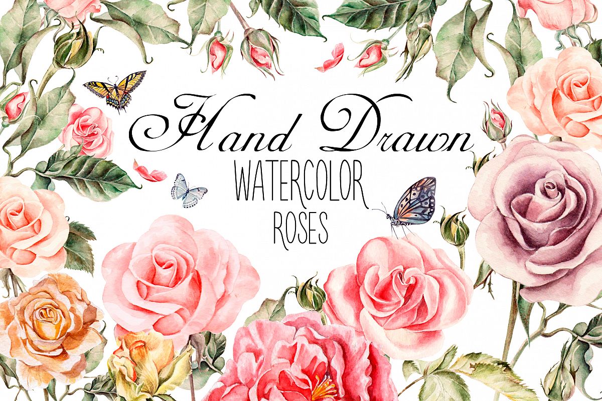 Hand drawn watercolor roses example image 1