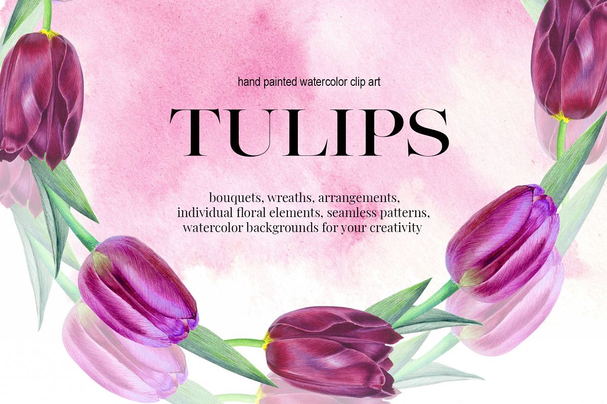 TULIPS. SPRING BOUQUET. Hand painteg watercolor clip art. example image 1