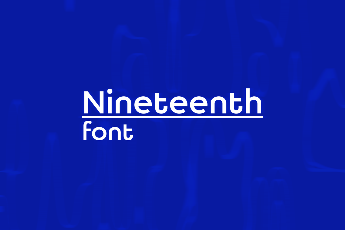 Nineteenth example image 1