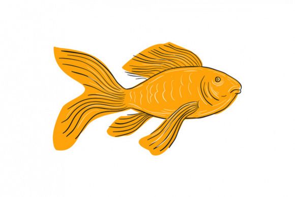 Gold Butterfly Koi Swimming Drawing example image 1