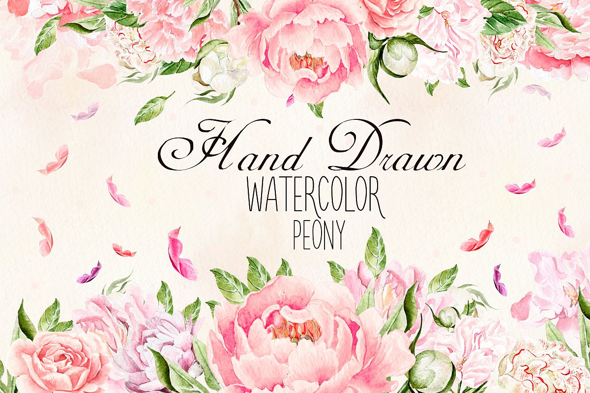 Hand Drawn watercolor Peony example image 1