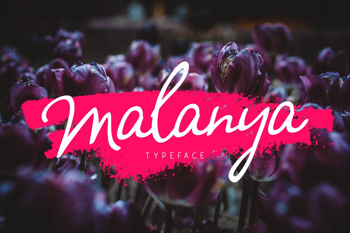 Malanya Typeface example image 1