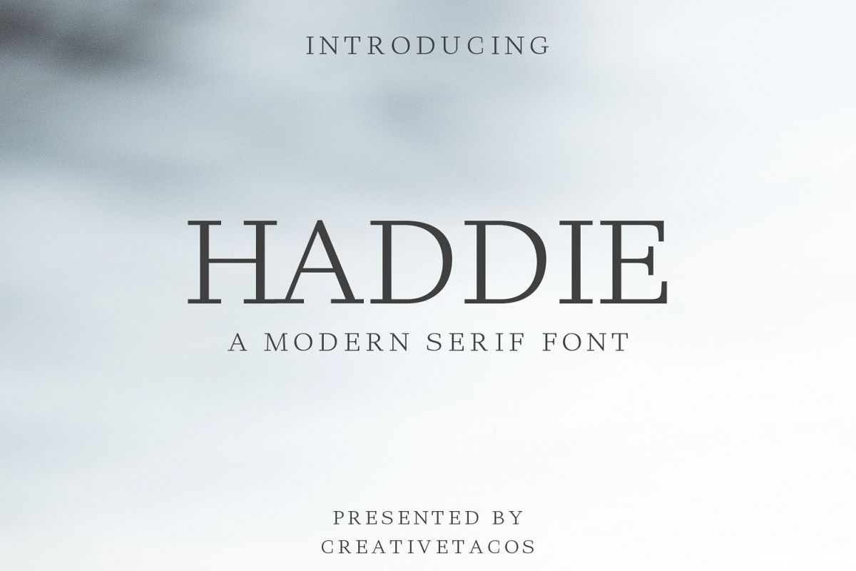 Haddie Modern Serif Font Family example image 1