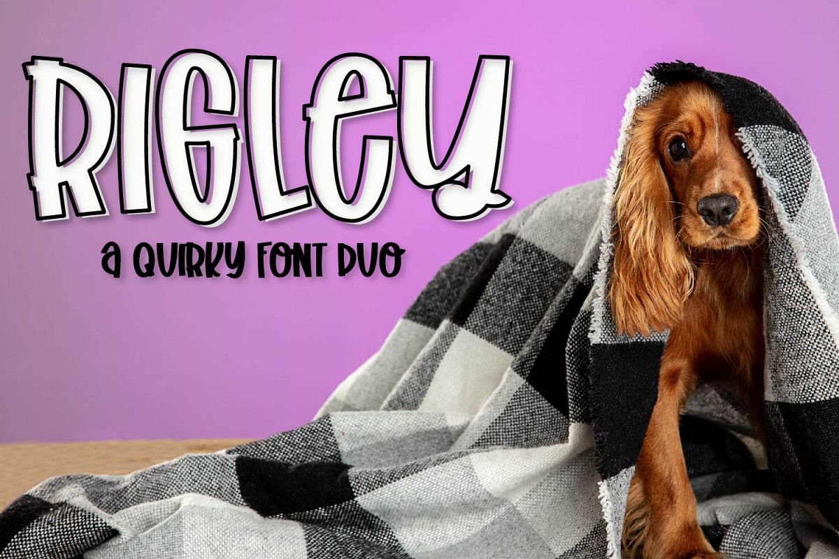 Rigley - A Quirky Font Duo example image 1