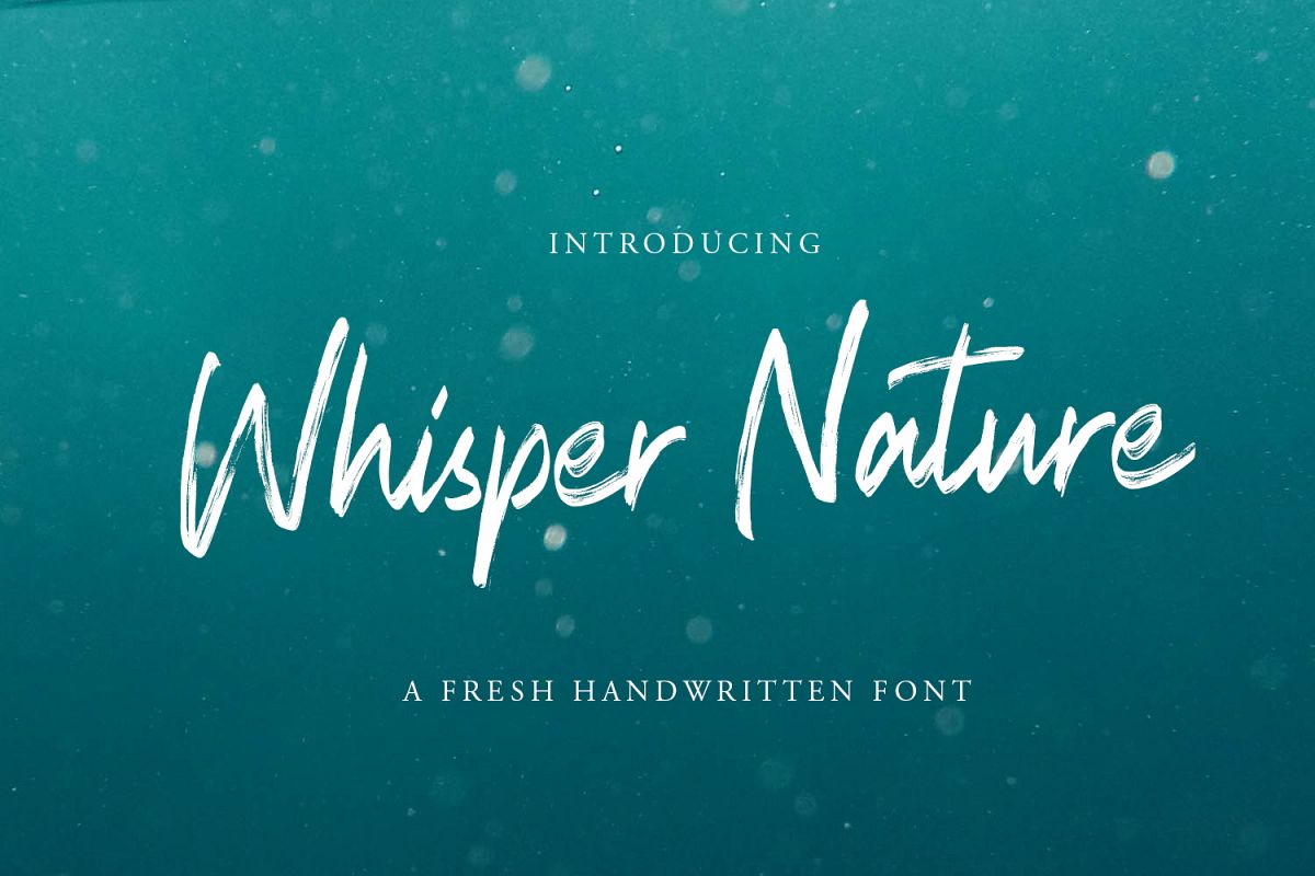 Whisper Nature Brush Script Font example image 1