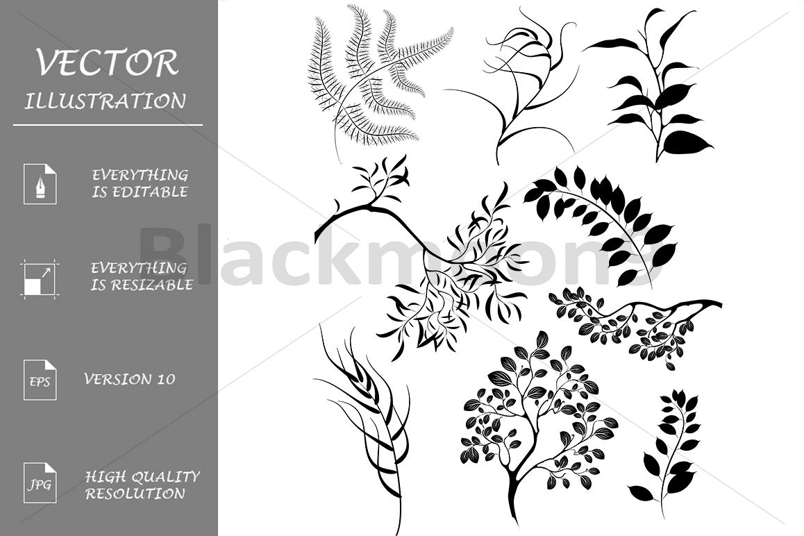 Silhouettes of Branches and Plants example image 1