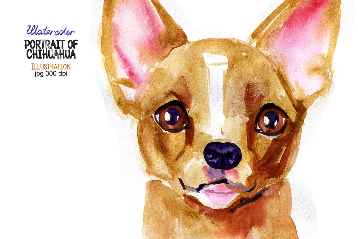 Watercolor portrait of Chihuahua. Illustration in jpg format (300 dpi). example image 1