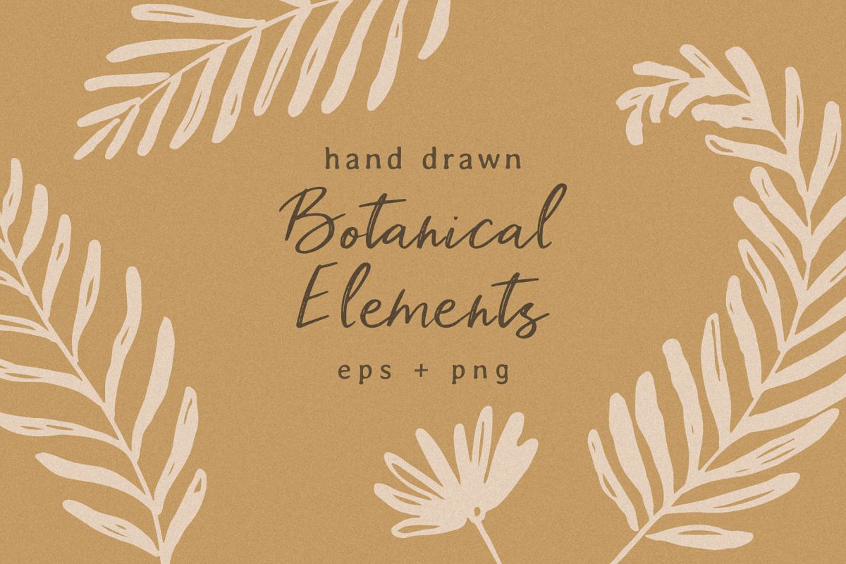 Hand Drawn Botanical Elements example image 1