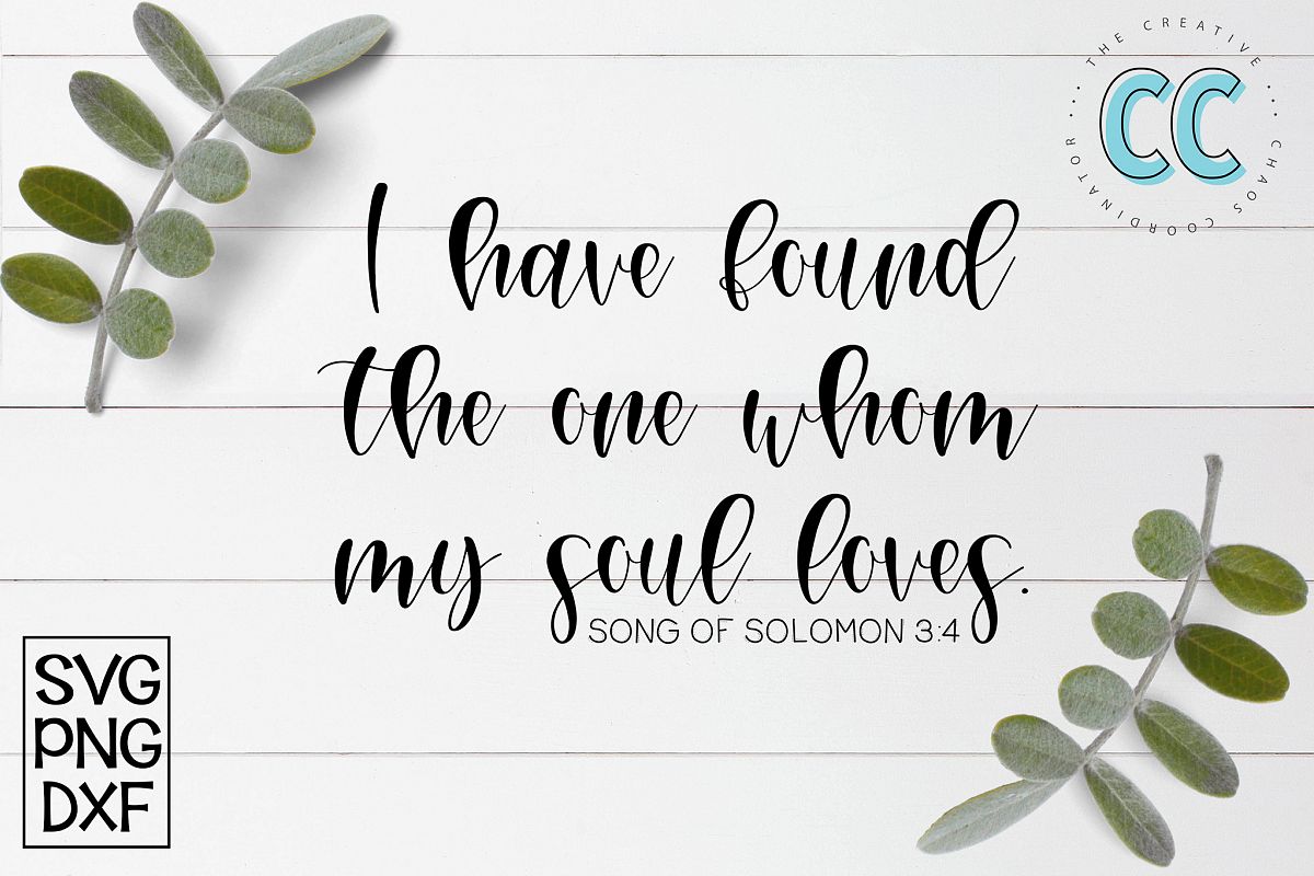 Song of Solomon example image 1