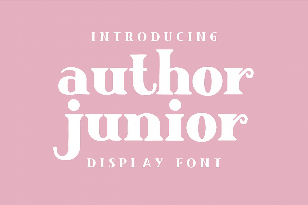 Author Junior example image 1