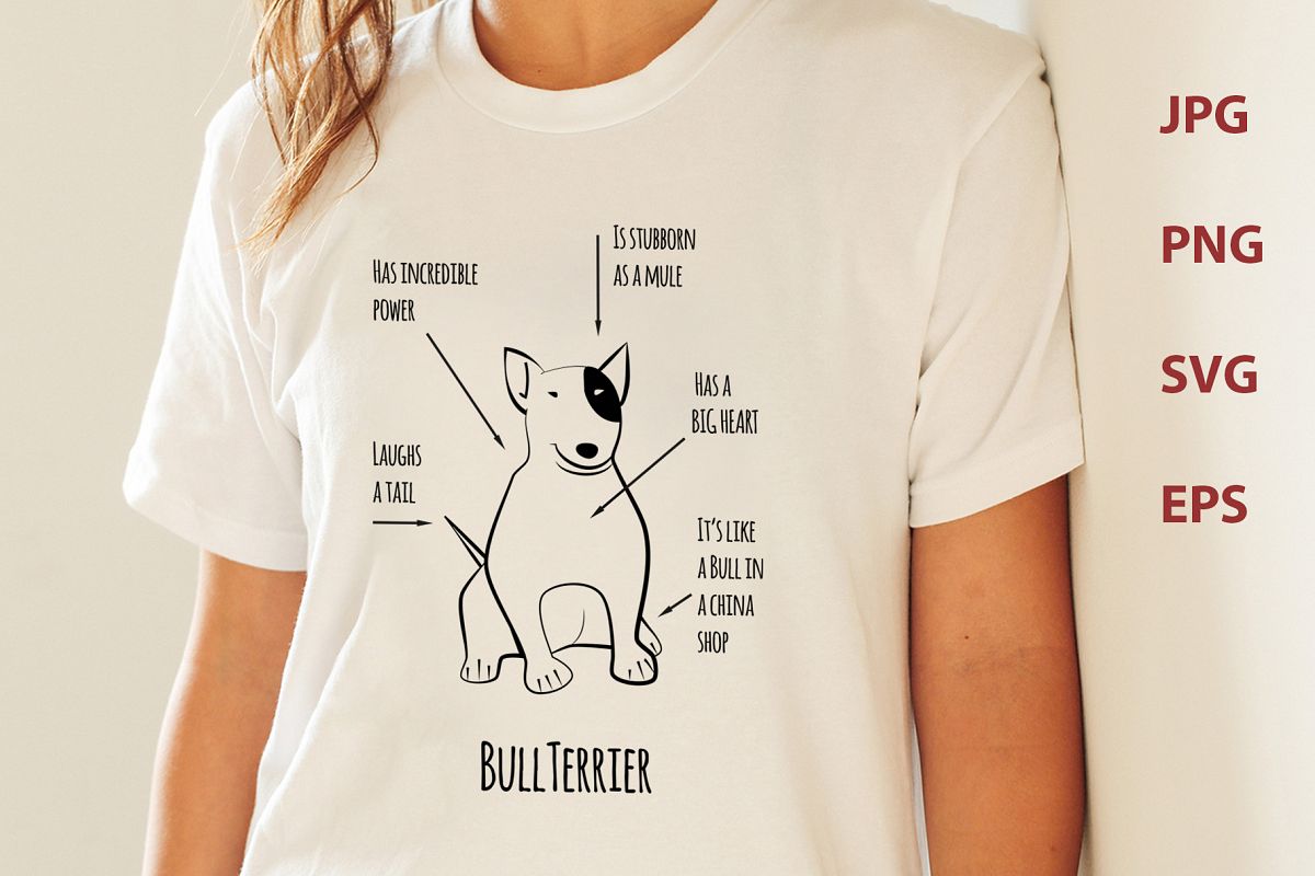 Bullterrier example image 1